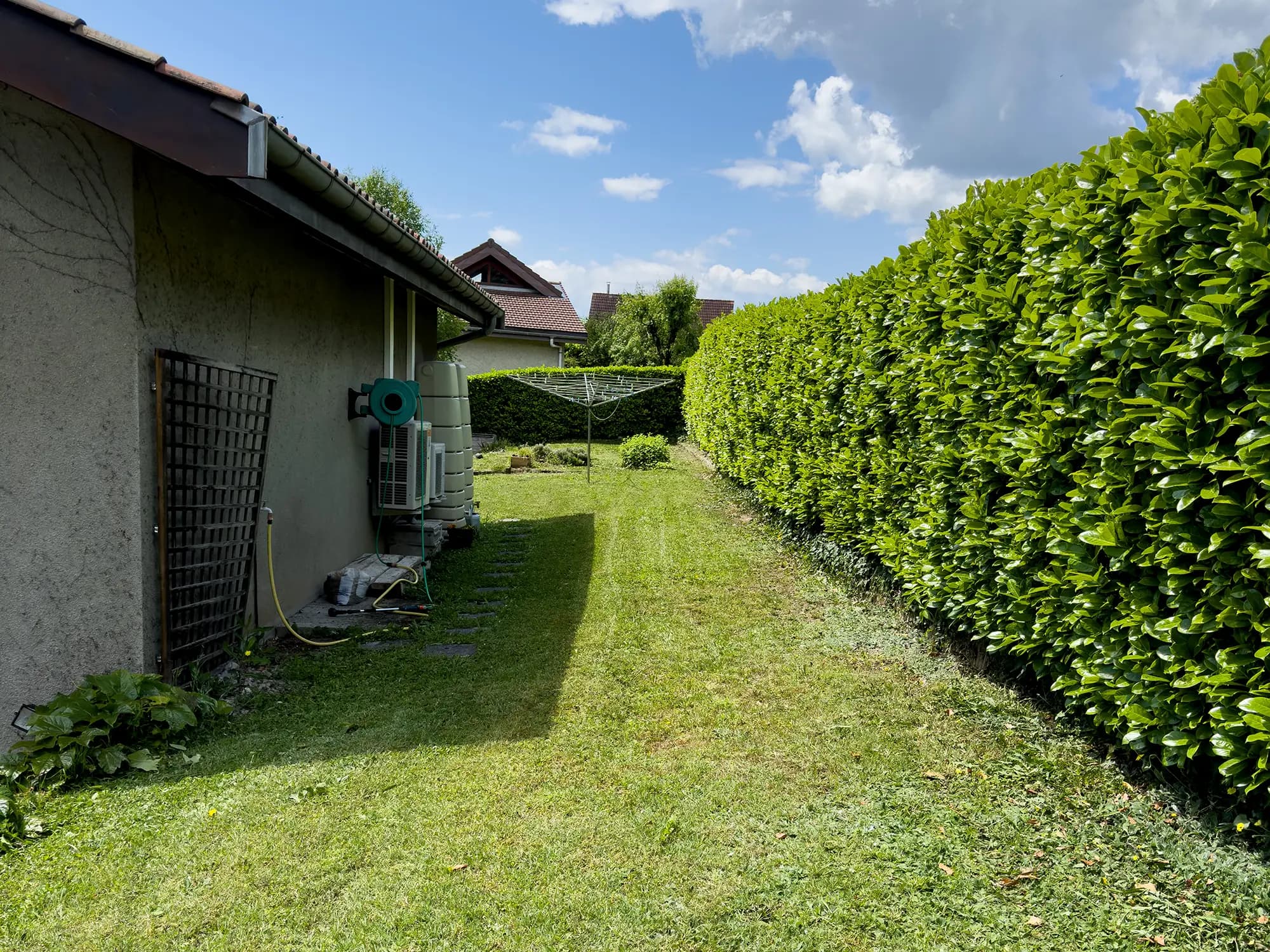Haie dense et bande de gazon en bordure d’une habitation