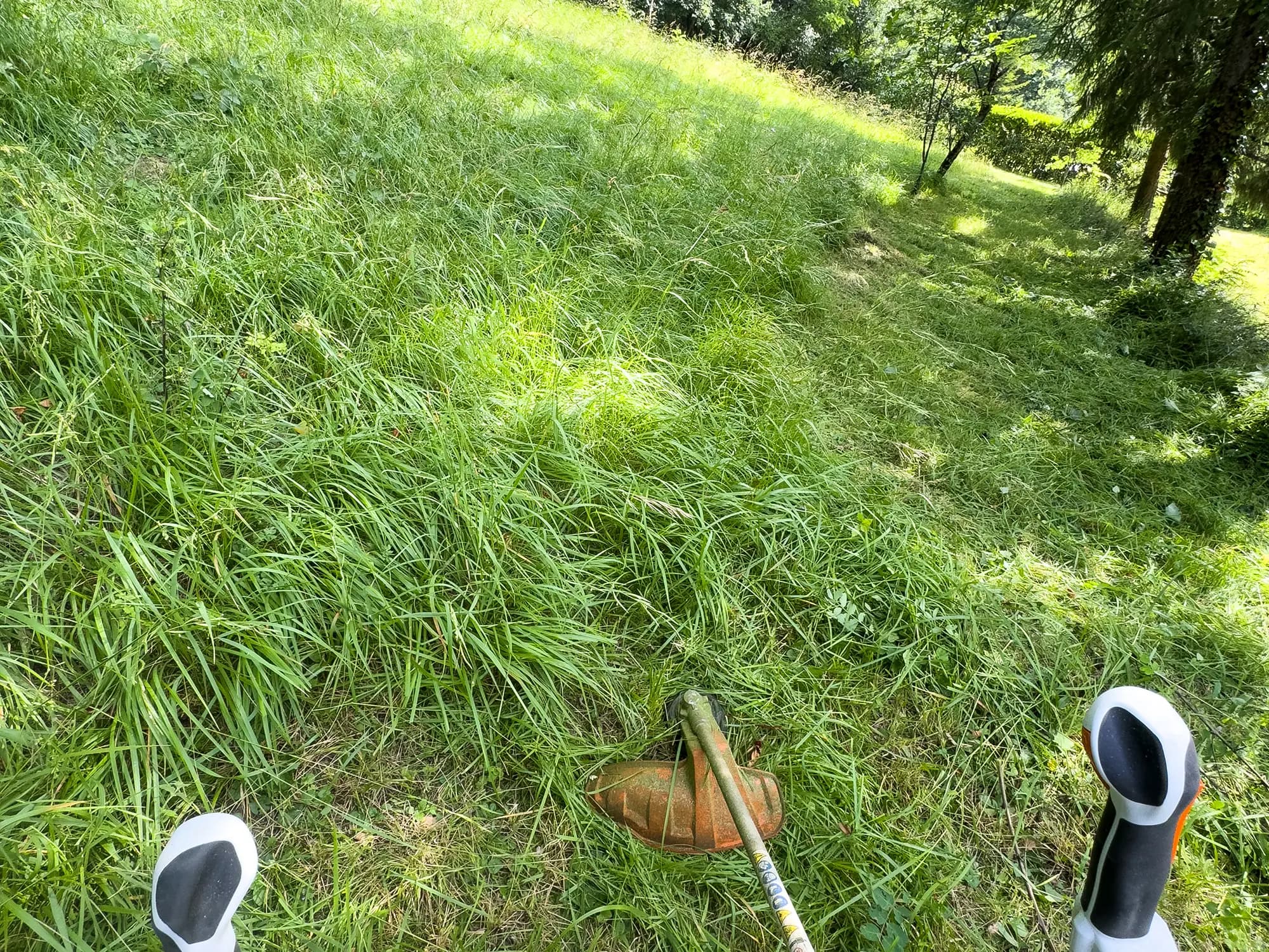 Coupe des herbes hautes à la débroussailleuse près d’arbres